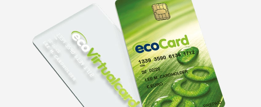 Ecopayz Cards Screenshots